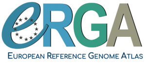 ERGA